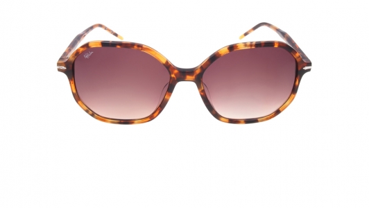 Alain Afflelou – Eyewear – Willy